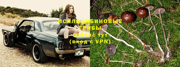 не бодяженный Новодвинск