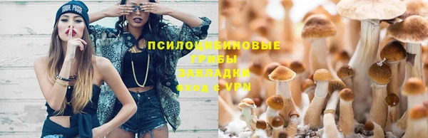альфа пвп Нефтекумск
