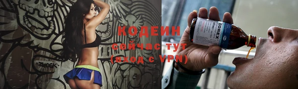 гидра Нея