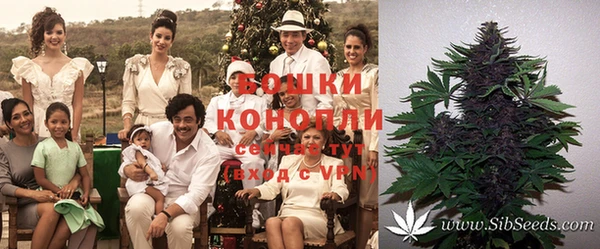 альфа пвп Нефтекумск