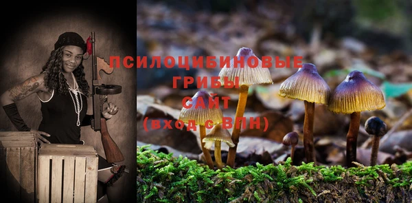 2c-b Нефтегорск
