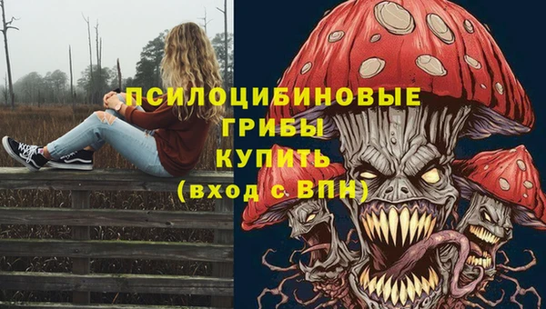 круглые Вязьма