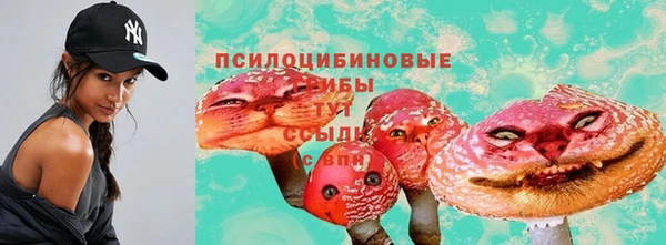 круглые Вязьма