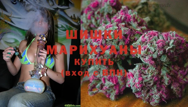 гидра Нея