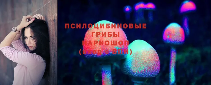 Псилоцибиновые грибы Psilocybe  Кропоткин 