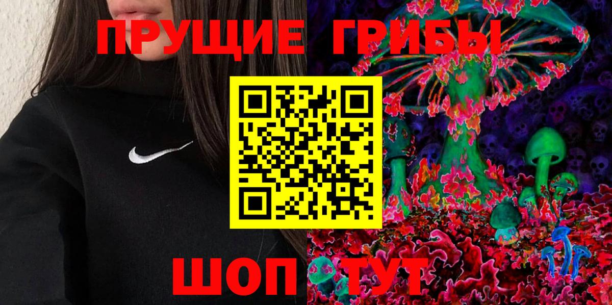 купить  цена  Вход с VPN  Кропоткин  Псилоцибиновые грибы GOLDEN TEACHER 