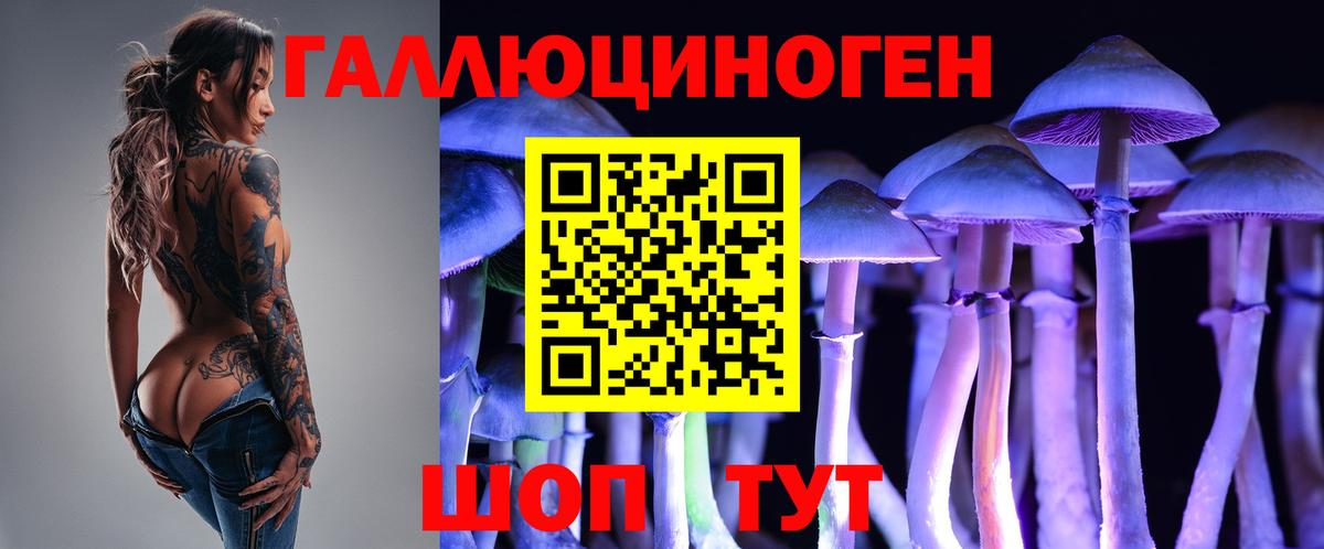 Кодеин  MDMA  А ПВП СОЛЬ   Cocaine  ГАШИШ  Мефедрон   Кропоткин  Гашиш  МЕФ  