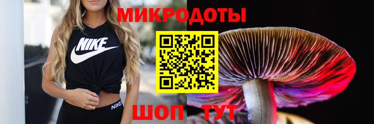 Псилоцибиновые грибы MAGIC MUSHROOMS Кропоткин